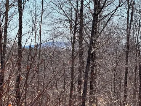 Tuttle Hill Road Orange NH 03741
