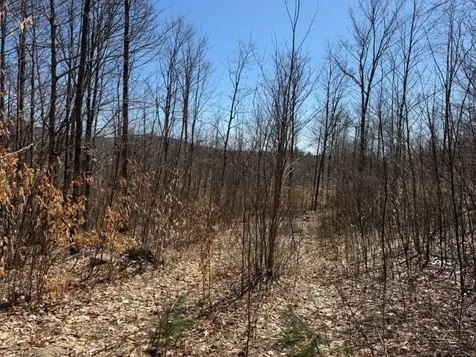 Tuttle Hill Road Orange NH 03741