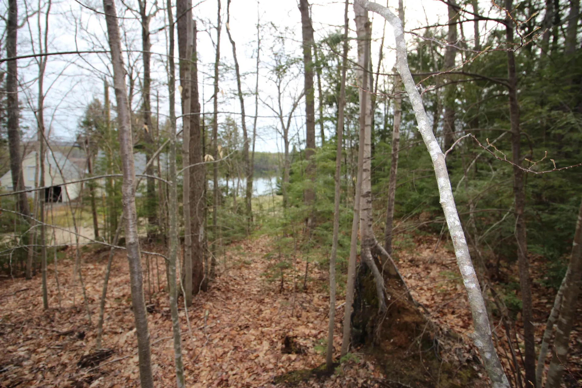 Lot 19-17 Northeast Pond Road Milton NH 03851