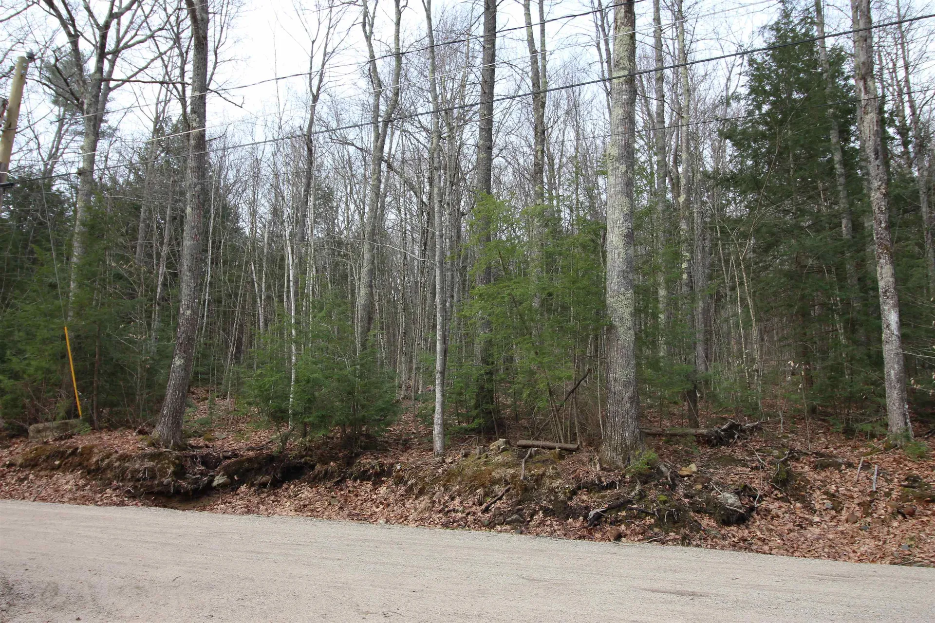 Lot 19-17 Northeast Pond Road Milton NH 03851