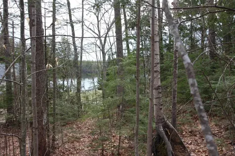 Lot 19-17 Northeast Pond Road Milton NH 03851