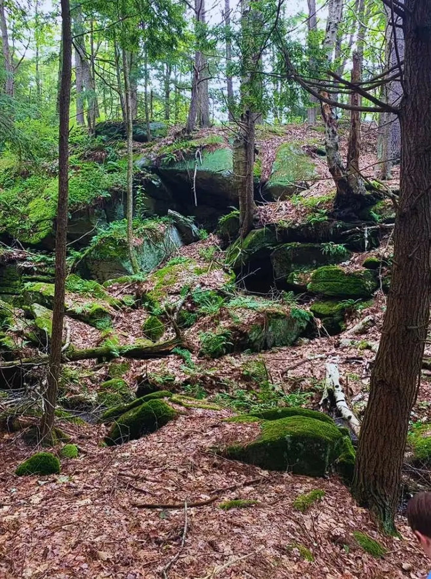 196 South Road Swanzey NH 03446