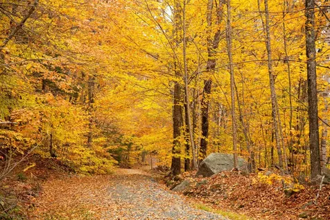 6 Wedgewood Drive Grantham NH 03753