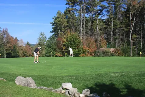 6 Wedgewood Drive Grantham NH 03753