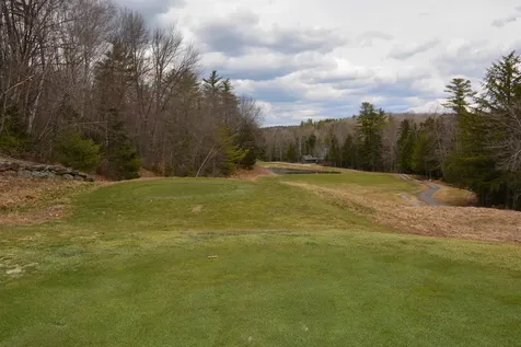 6 Wedgewood Drive Grantham NH 03753