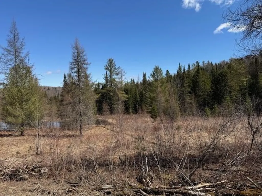 Townline Road Craftsbury VT 05826