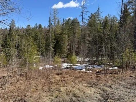Townline Road Craftsbury VT 05826