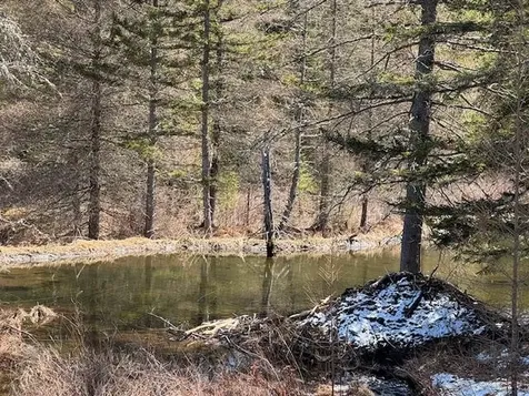 Townline Road Craftsbury VT 05826