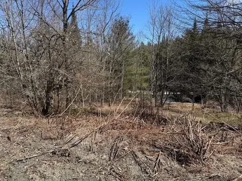 Townline Road Craftsbury VT 05826