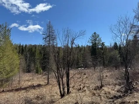Townline Road Craftsbury VT 05826
