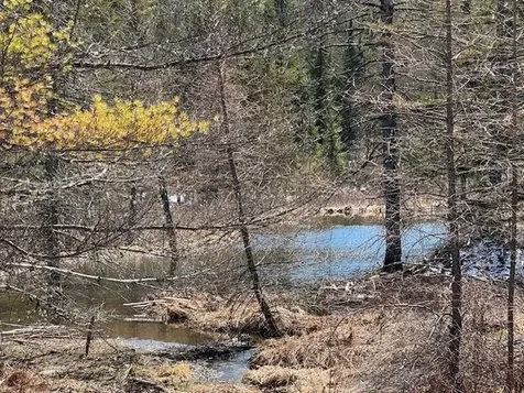 Townline Road Craftsbury VT 05826