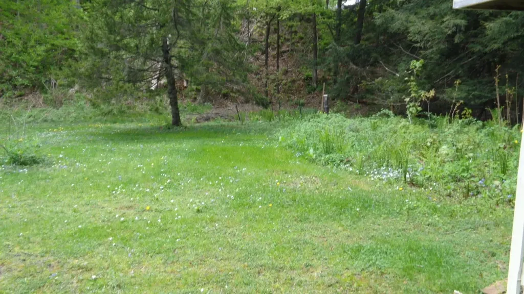 28 Forest Street Randolph VT 05060