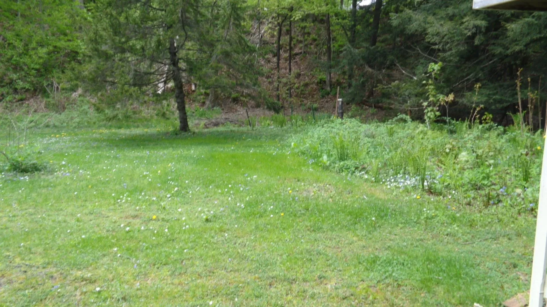 28 Forest Street Randolph VT 05060