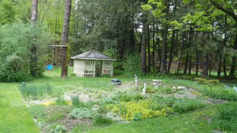 28 Forest Street Randolph VT 05060