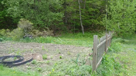 28 Forest Street Randolph VT 05060