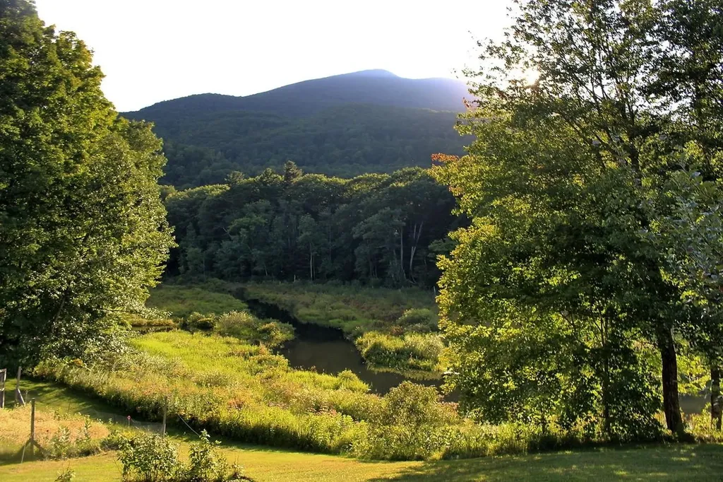 214 South End Road Mount Tabor VT 05253