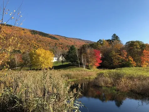 214 South End Road Mount Tabor VT 05253