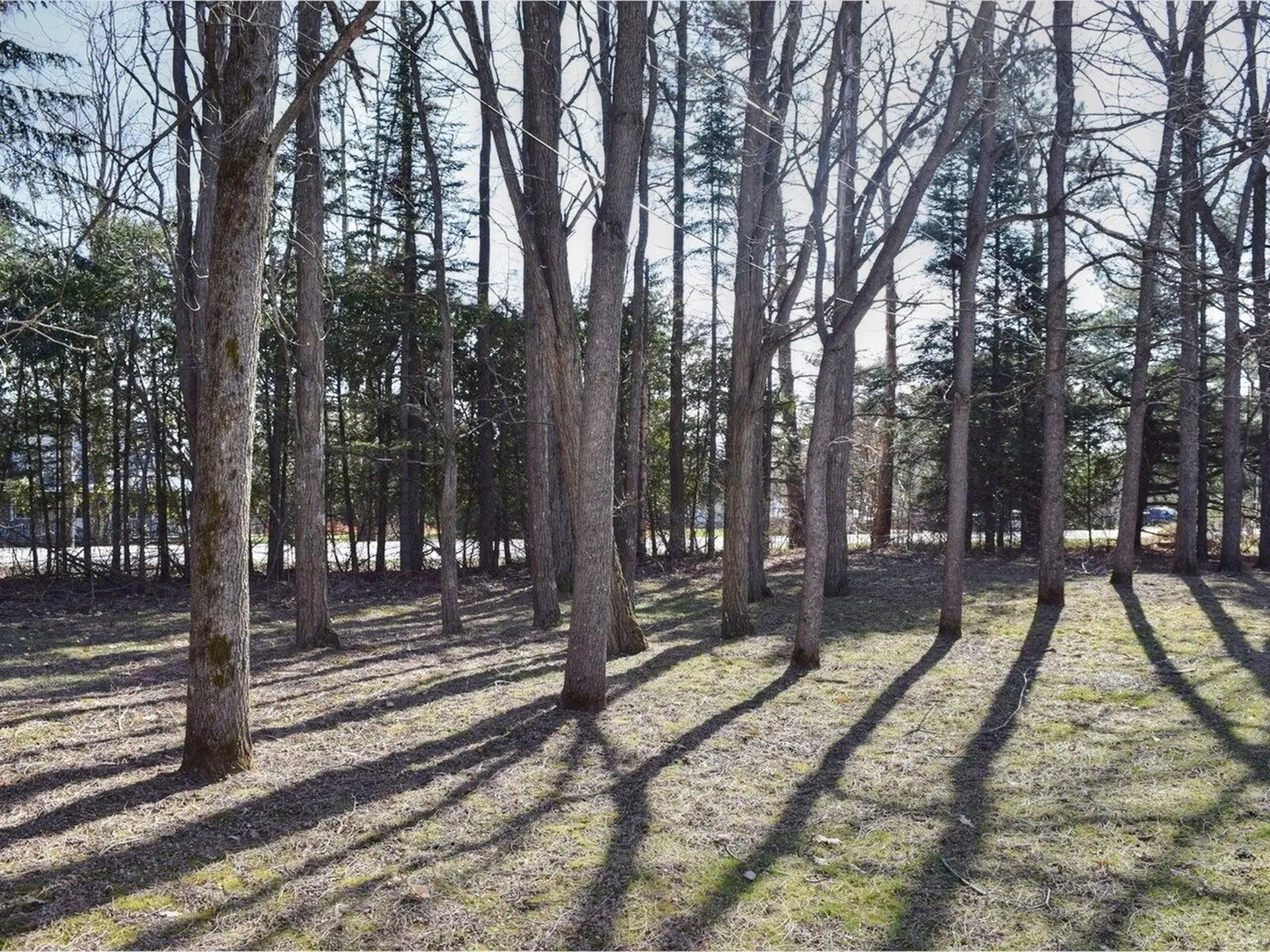 1419 Stonebridge Road Georgia VT 05468