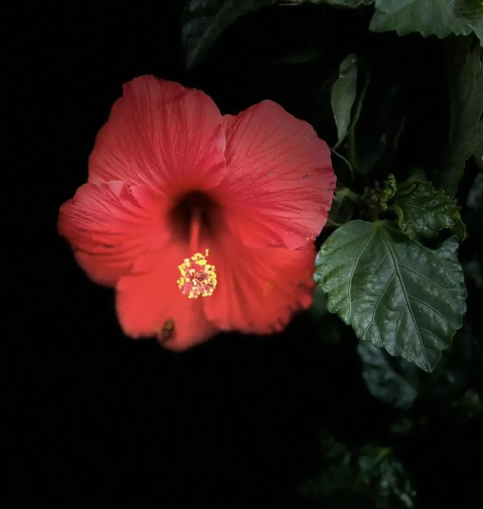 238 Willard Avenue Portsmouth NH 03801