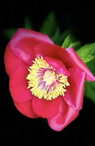 238 Willard Avenue Portsmouth NH 03801