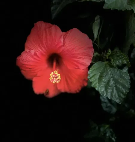 238 Willard Avenue Portsmouth NH 03801