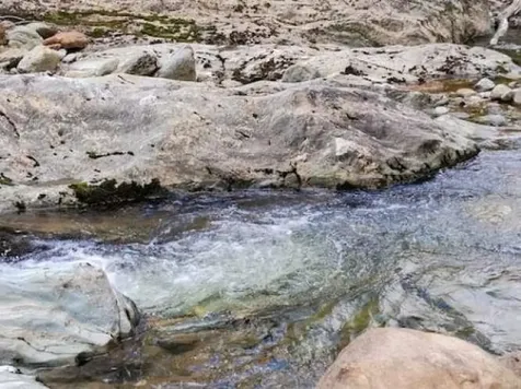 1625 Camel's Hump Road Huntington VT 05462