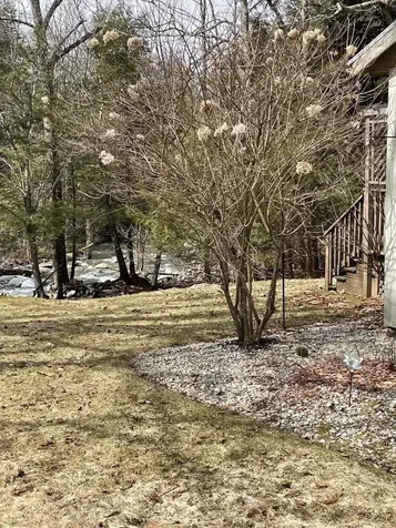 1625 Camel's Hump Road Huntington VT 05462