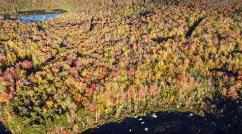 20-122 & 20-123 Fox Run Road Washington NH 03280