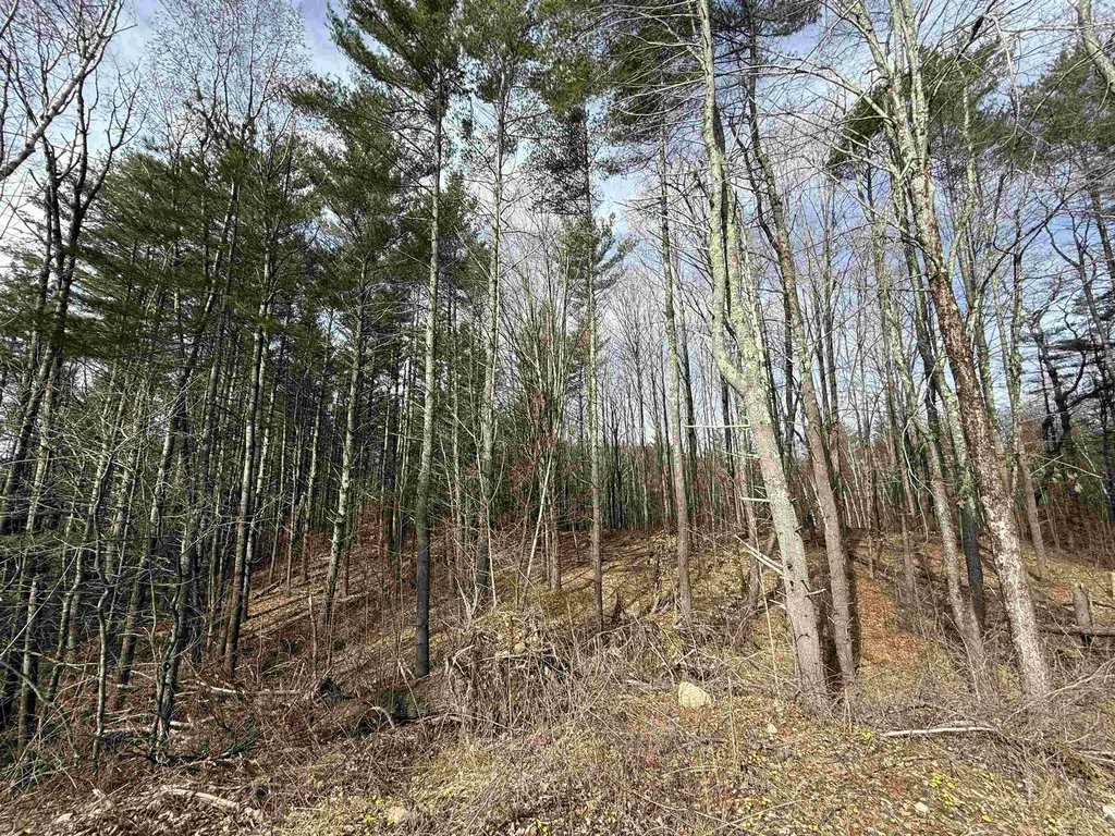 15 Wind Hill Road Manchester VT 05255