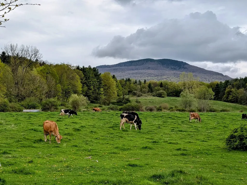 15 Wind Hill Road Manchester VT 05255