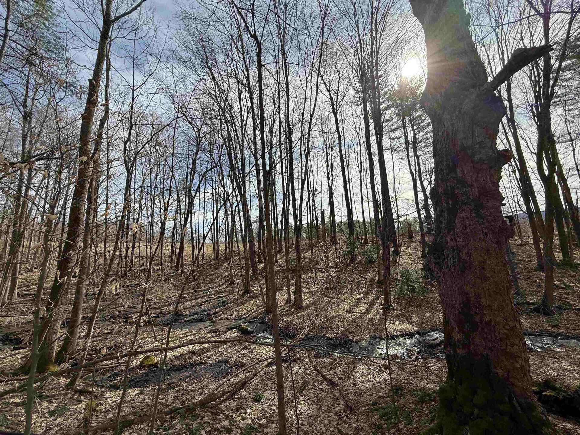 15 Wind Hill Road Manchester VT 05255