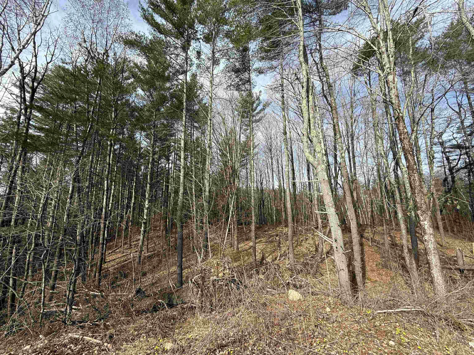 15 Wind Hill Road Manchester VT 05255