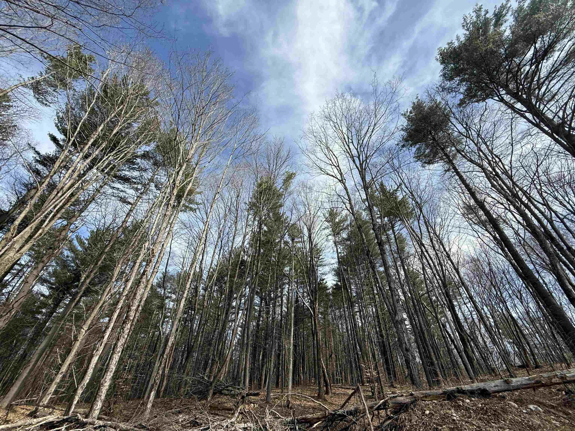 15 Wind Hill Road Manchester VT 05255