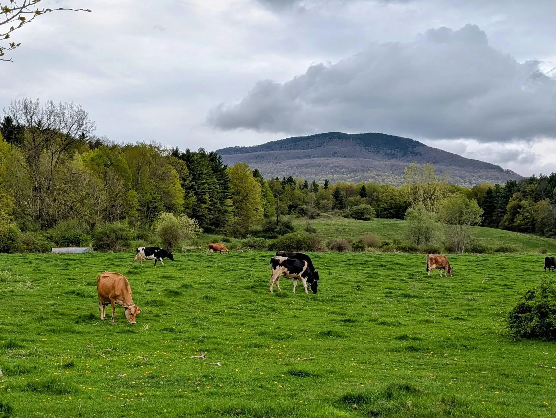 15 Wind Hill Road Manchester VT 05255