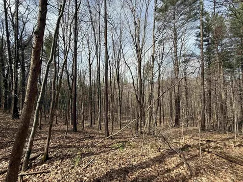 15 Wind Hill Road Manchester VT 05255