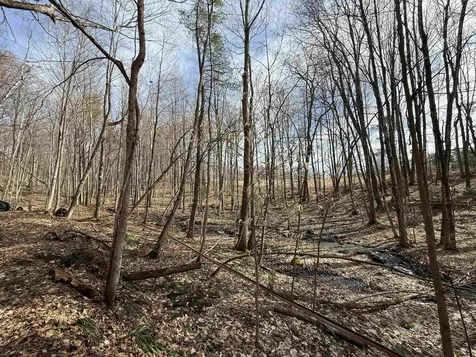 15 Wind Hill Road Manchester VT 05255