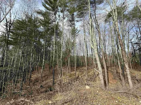 15 Wind Hill Road Manchester VT 05255