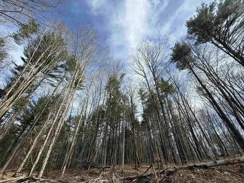 15 Wind Hill Road Manchester VT 05255