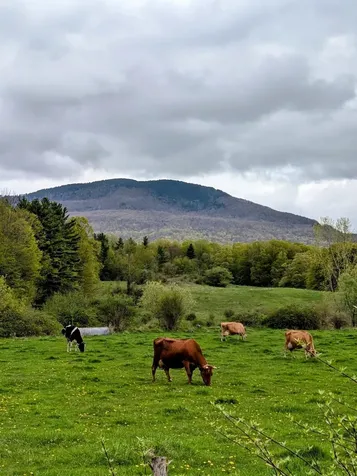 15 Wind Hill Road Manchester VT 05255