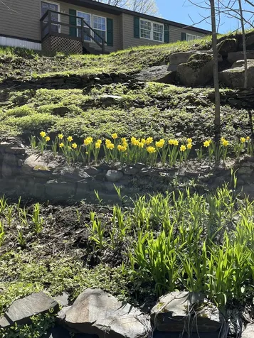 51 Buck Lake Road Woodbury VT 05681