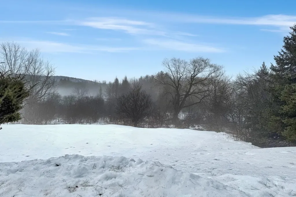 2779 Walker Mountain Road Clarendon VT 05777