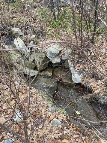 00 Giovanna Road Groton NH 03241