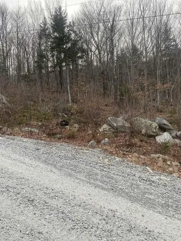 00 Giovanna Road Groton NH 03241