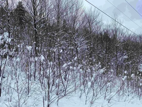 00 Giovanna Road Groton NH 03241