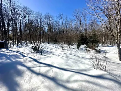 4138 West Hill Road S Jamaica VT 05343