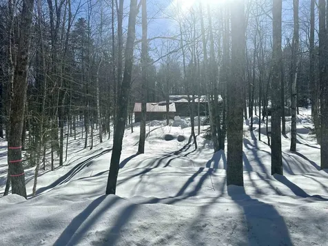 4138 West Hill Road S Jamaica VT 05343