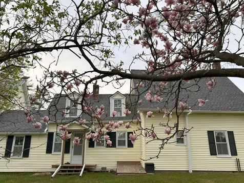 40 Ellis Lane Claremont NH 03743