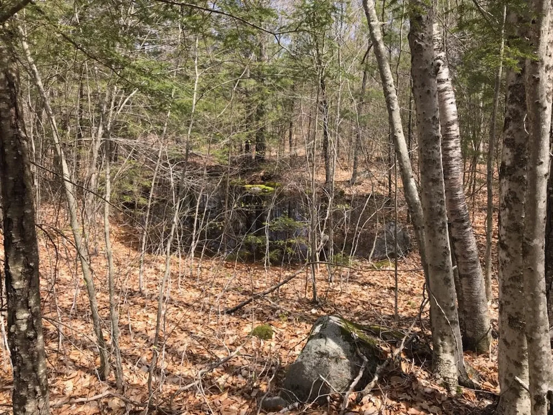 305 Middleton Road Milton NH 03851