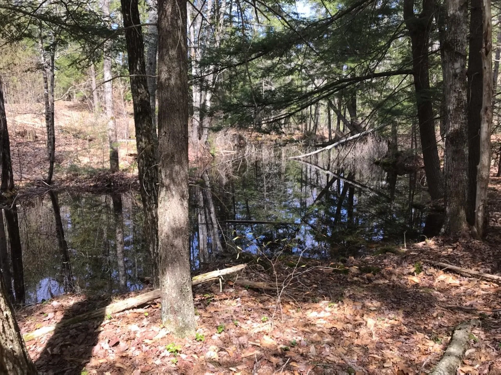 305 Middleton Road Milton NH 03851