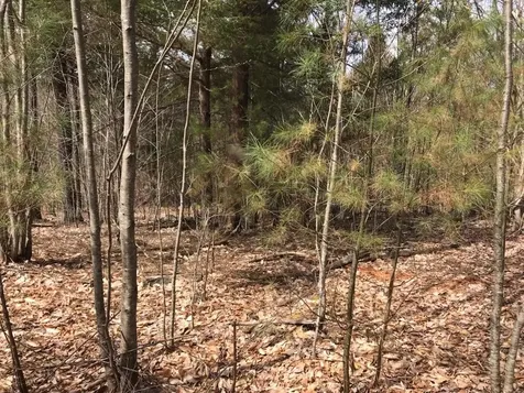 305 Middleton Road Milton NH 03851